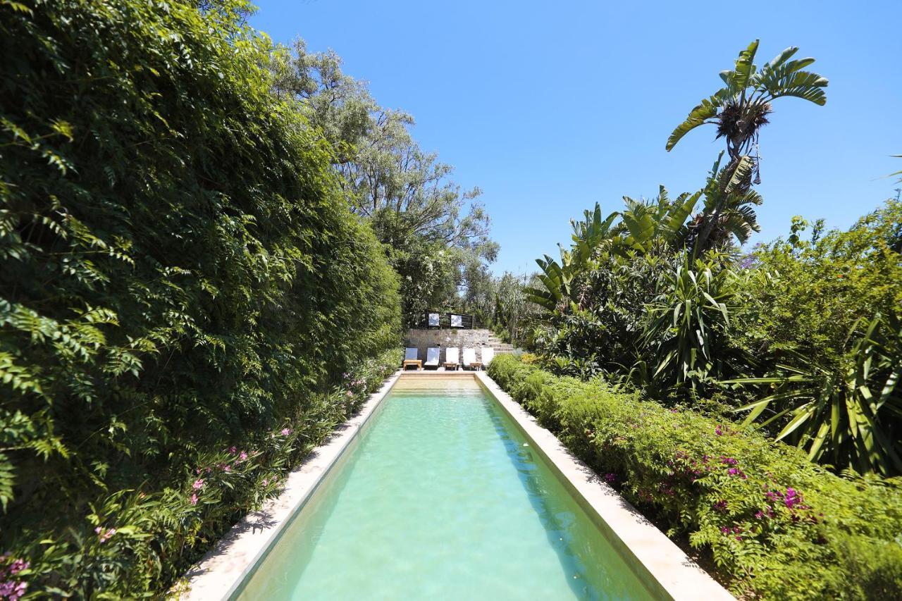 Bed and Breakfast Mimi Calpe Танжер Экстерьер фото